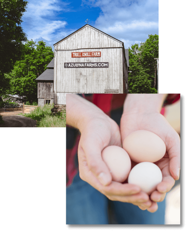 Two photos, one on top of the other. The photo at the top left is a photo of a barn at Azuluna Farms with their website on the side. The photo at the bottom right is a closeup of a woman in red flannel holding three eggs in her cupped hands.