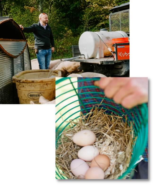 Two photos, one on top of the other. The top left photo is of a man filtering water through tanks. The bottom right photo is of five eggs on a bed of hay in a green metal basket being presented to the camera by a man in red and blue flannel.